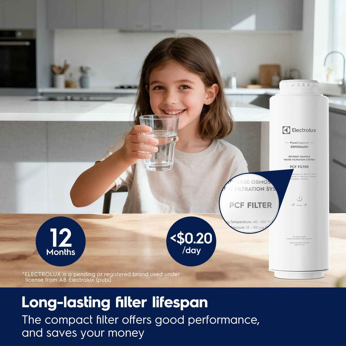 Electrolux Eco 600GPD PCF Filter (12-Month), Replacement Electrolux for Eco 600GPD Reverse Osmosis System